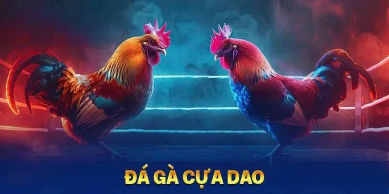 Đá gà cựa dao trực tiếp HD tại 18WIN