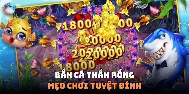 Tìm hiểu mẹo chơi tuyệt đỉnh nhận ngay điểm thưởng khủng