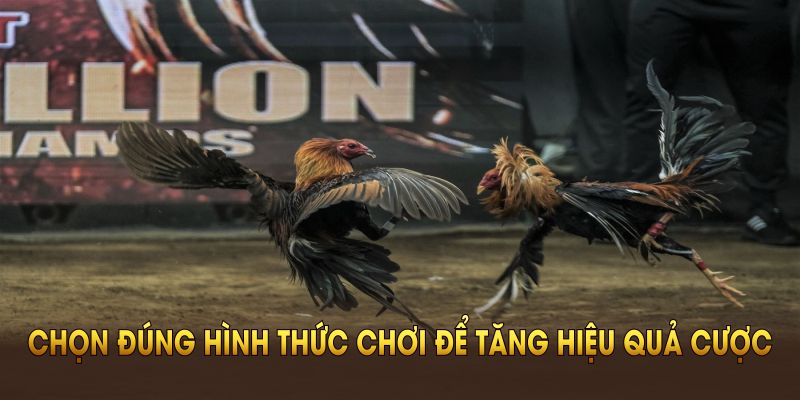 Chọn đúng hình thức chơi để tăng hiệu quả cược 