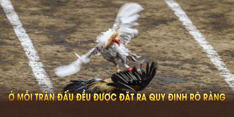 Ở mỗi trận đấu đều được đặt ra quy định rõ ràng 